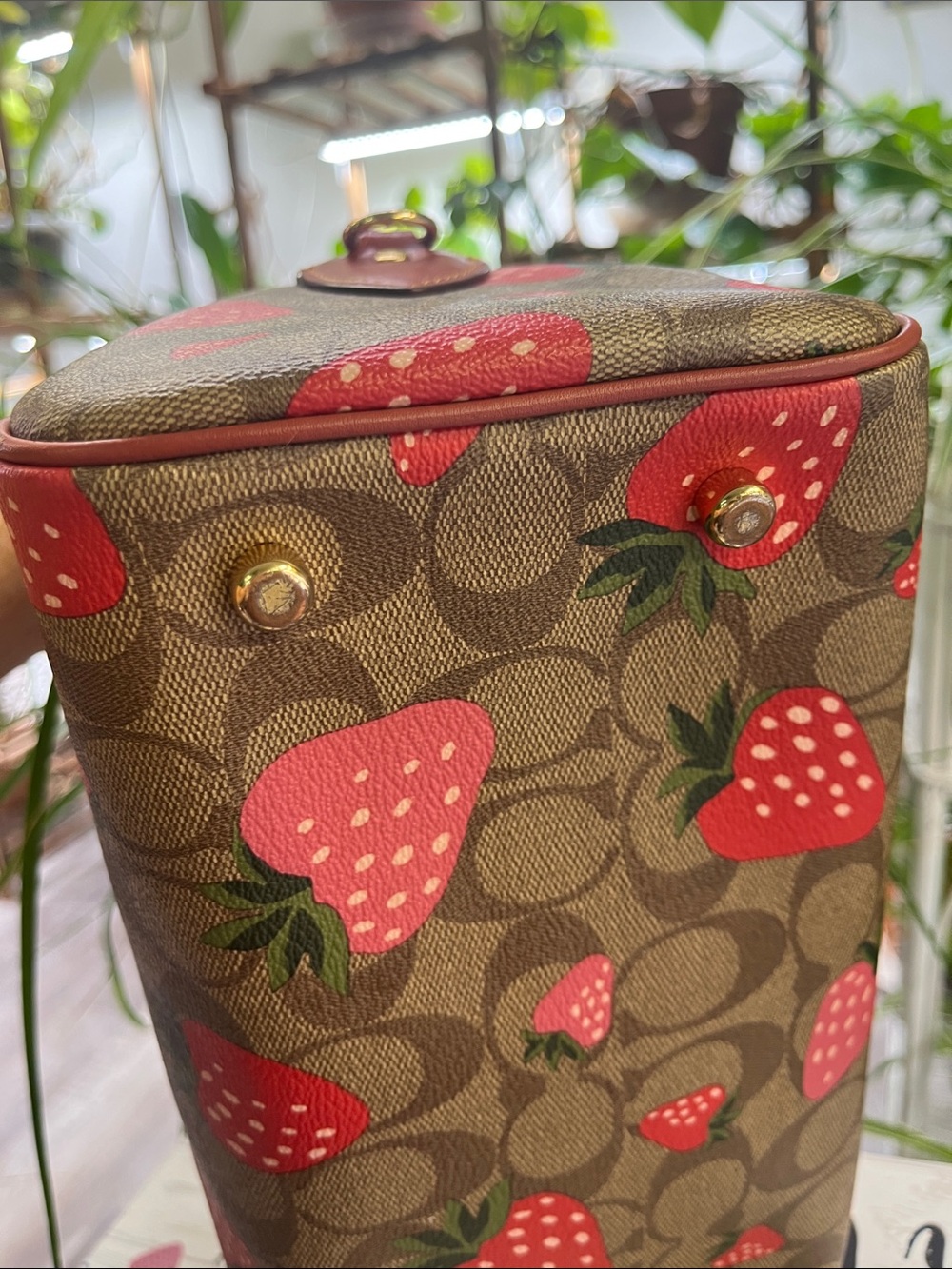 Coach Brown Signature Satchel with Red Strawberry Print - Picture 5 of 11